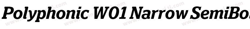 Polyphonic W01 Narrow SemiBold字体转换